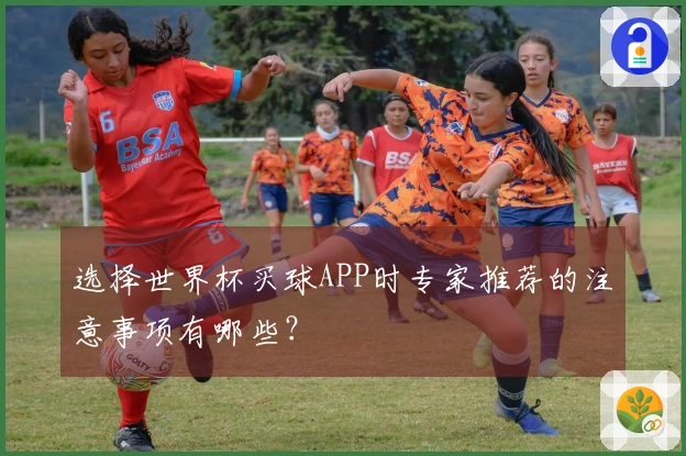 选择世界杯买球APP时专家推荐的注意事项有哪些？