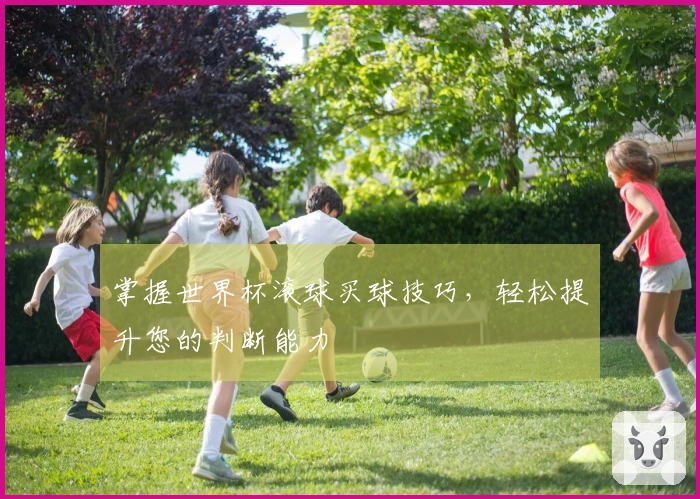 掌握世界杯滚球买球技巧，轻松提升您的判断能力