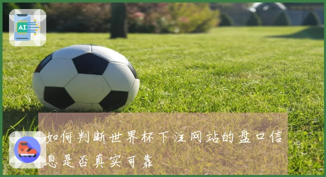 如何判断世界杯下注网站的盘口信息是否真实可靠