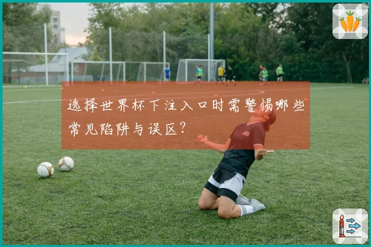 选择世界杯下注入口时需警惕哪些常见陷阱与误区？