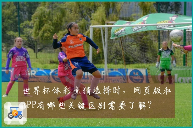 世界杯体彩竞猜选择时,网页版和APP有哪些关键区别需要了解?