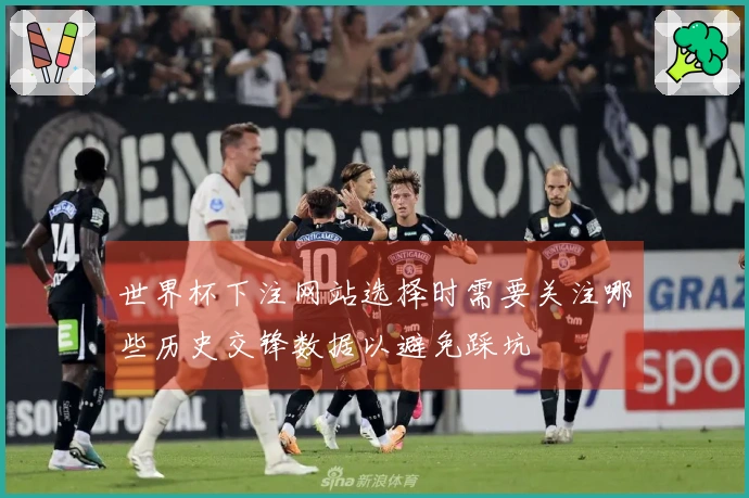 世界杯下注网站选择时需要关注哪些历史交锋数据以避免踩坑