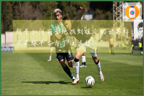 新手如何安全地找到适合的世界杯买足球平台与下注流程
