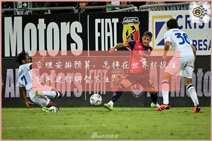 合理安排预算，怎样在世界杯投注官网进行明智下注？
