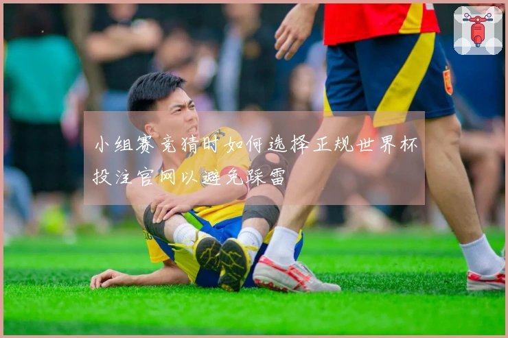 小组赛竞猜时如何选择正规世界杯投注官网以避免踩雷