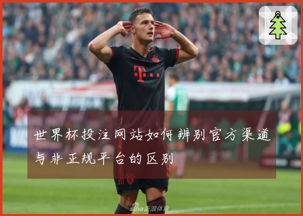 世界杯投注网站如何辨别官方渠道与非正规平台的区别