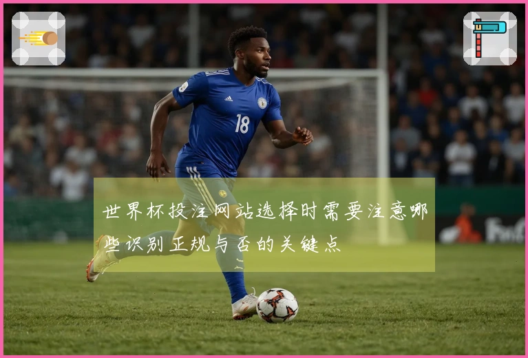世界杯投注网站选择时需要注意哪些识别正规与否的关键点