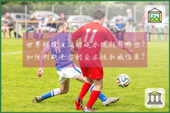 世界杯投注站的返水规则有哪些?如何判断平台的合法性和诚信度?