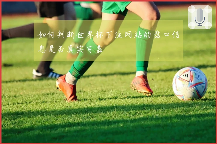 如何判断世界杯下注网站的盘口信息是否真实可靠