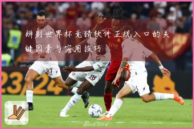 辨别世界杯竞猜软件正规入口的关键因素与实用技巧