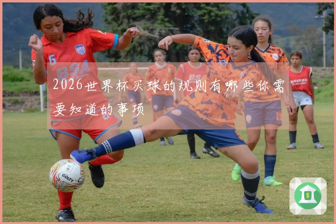 2026世界杯买球的规则有哪些你需要知道的事项