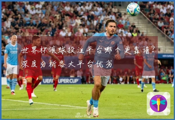 世界杯滚球投注平台哪个更靠谱?深度分析各大平台优劣