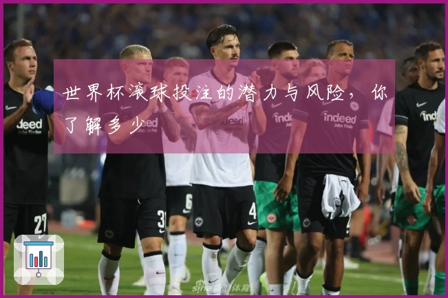 世界杯滚球投注的潜力与风险，你了解多少