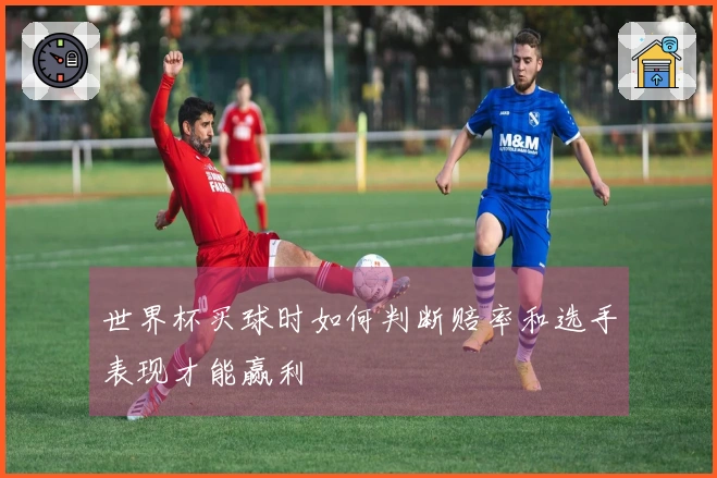 世界杯买球时如何判断赔率和选手表现才能赢利