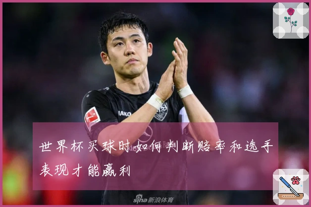 世界杯买球时如何判断赔率和选手表现才能赢利