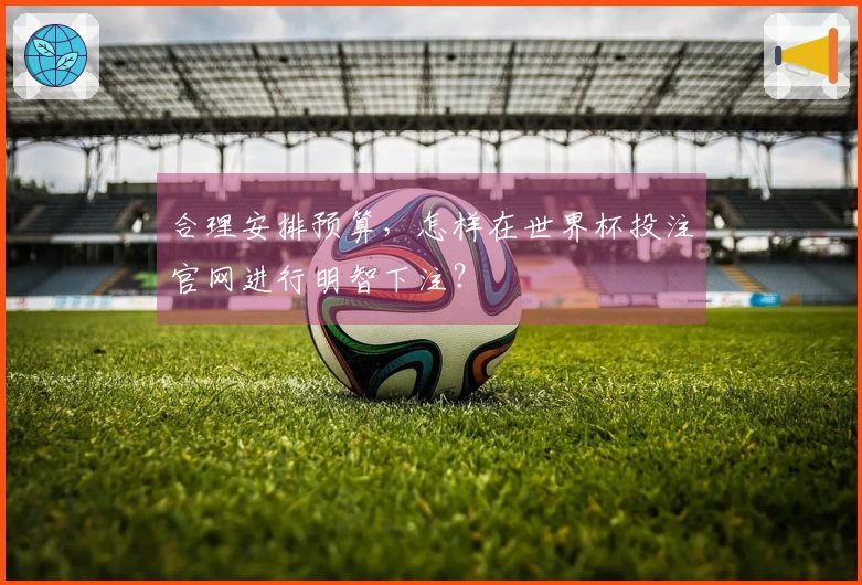 合理安排预算,怎样在世界杯投注官网进行明智下注?