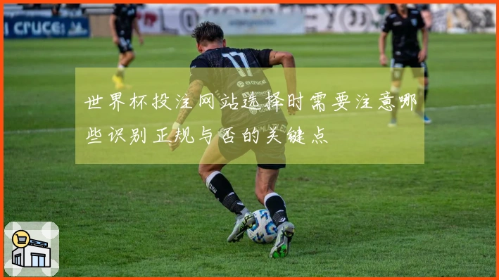 世界杯投注网站选择时需要注意哪些识别正规与否的关键点