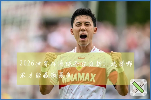 2026世界杯滚球平台分析：选择哪家才能赢钱最多