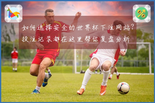 如何选择安全的世界杯下注网站？投注记录都在这里帮你复盘分析