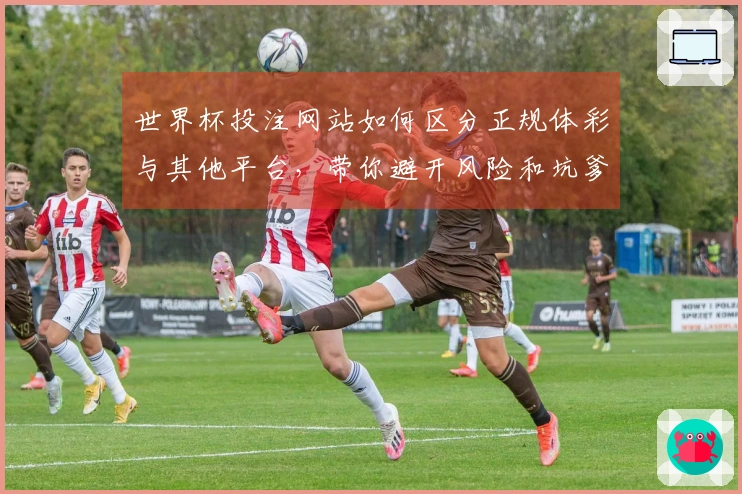 世界杯投注网站如何区分正规体彩与其他平台,带你避开风险和坑爹选项
