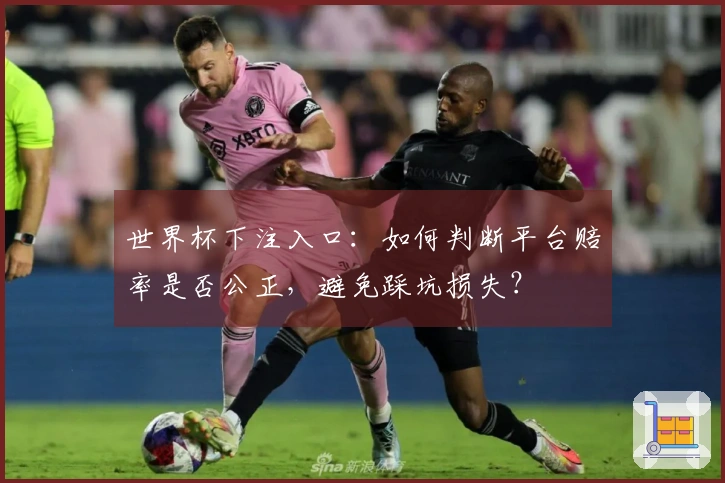 世界杯下注入口：如何判断平台赔率是否公正，避免踩坑损失？