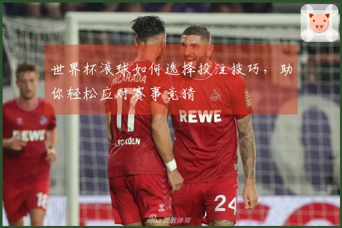 世界杯滚球如何选择投注技巧，助你轻松应对赛事竞猜