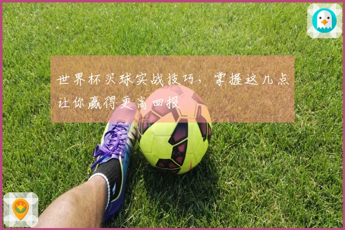 世界杯买球实战技巧，掌握这几点让你赢得更高回报