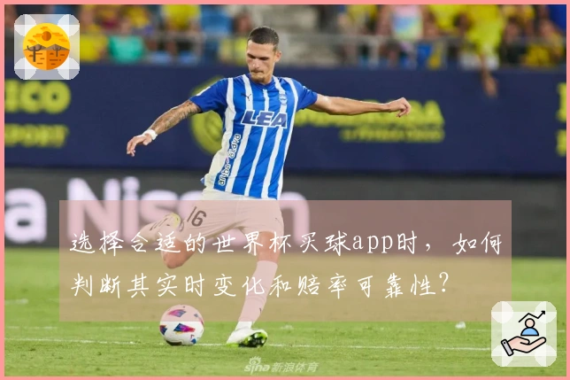 选择合适的世界杯买球app时,如何判断其实时变化和赔率可靠性?